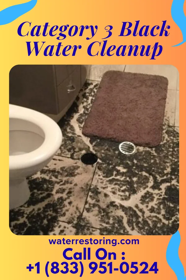 Category 3 Black Water Cleanup in Woodstock, GA